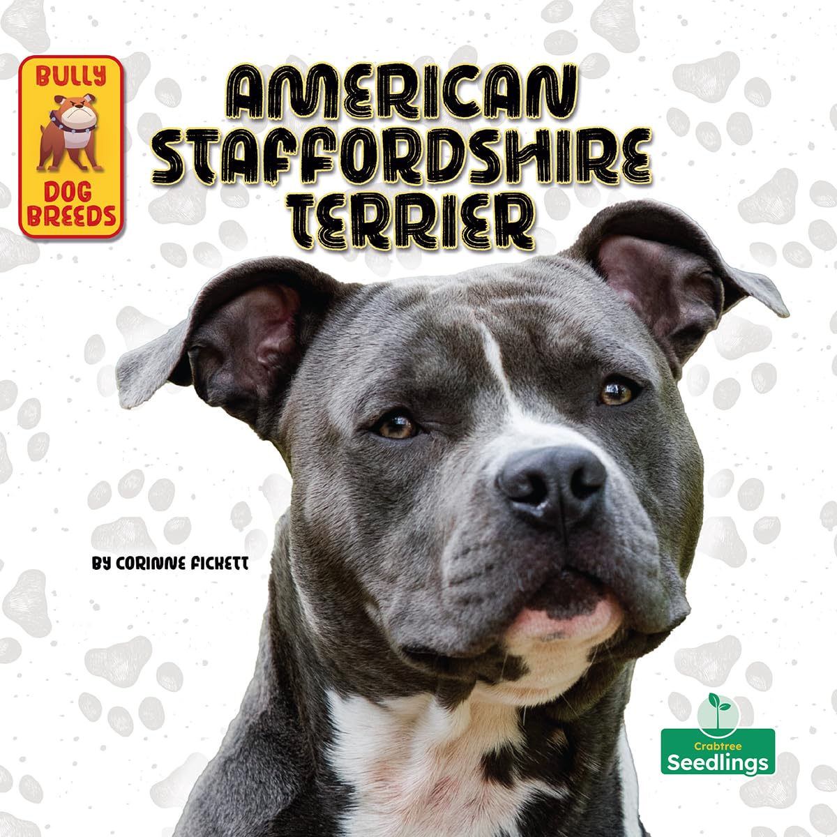 American Staffordshire Terrier (Bully Dog Breeds)