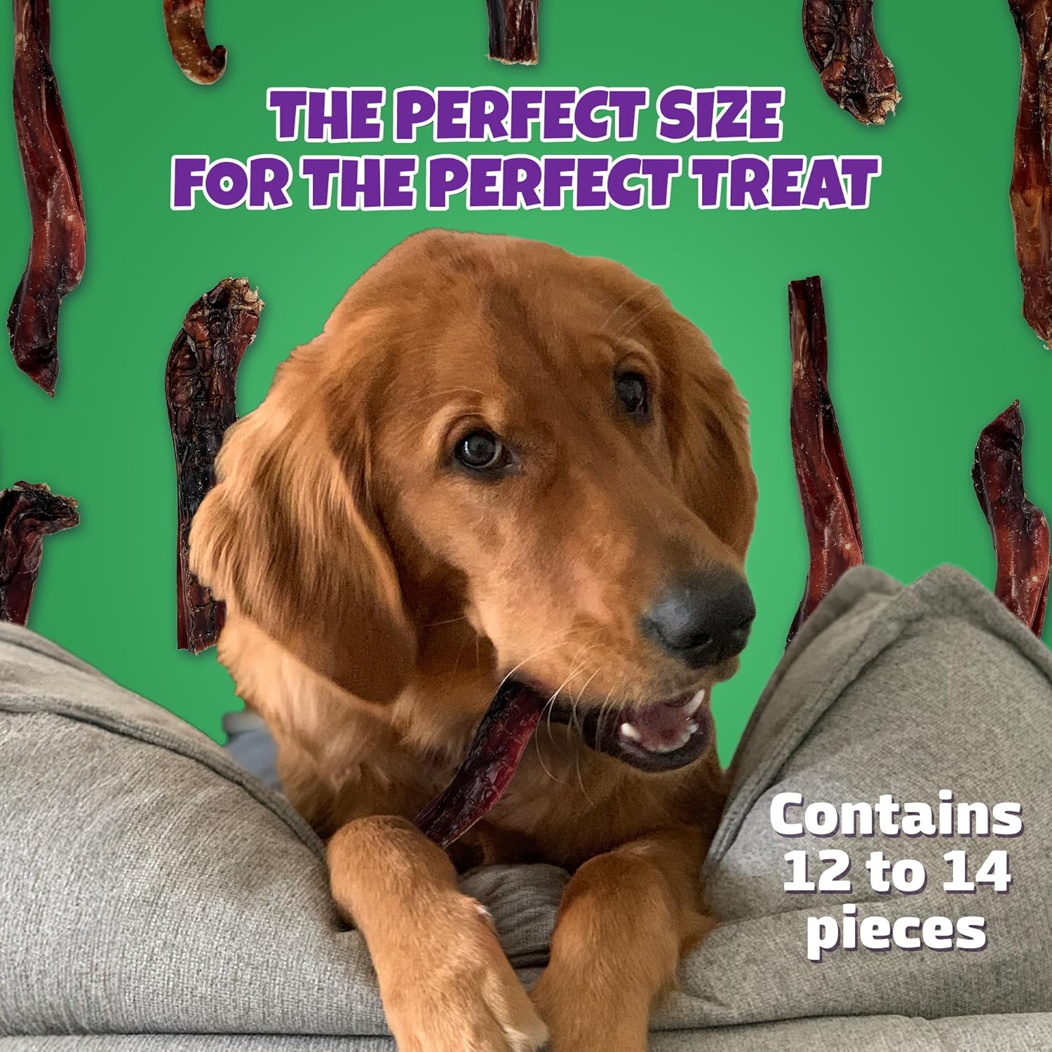 Bully Sticks for Dogs Sourced & Made in USA, All-Natural Taste, Shape, & Color, 6 inch Pizzle Sticks, Bully Bones for Small and Medium Dogs, Includes 12 to 14 Rawhide-Free Treats Per Bag, 8oz - Image 6