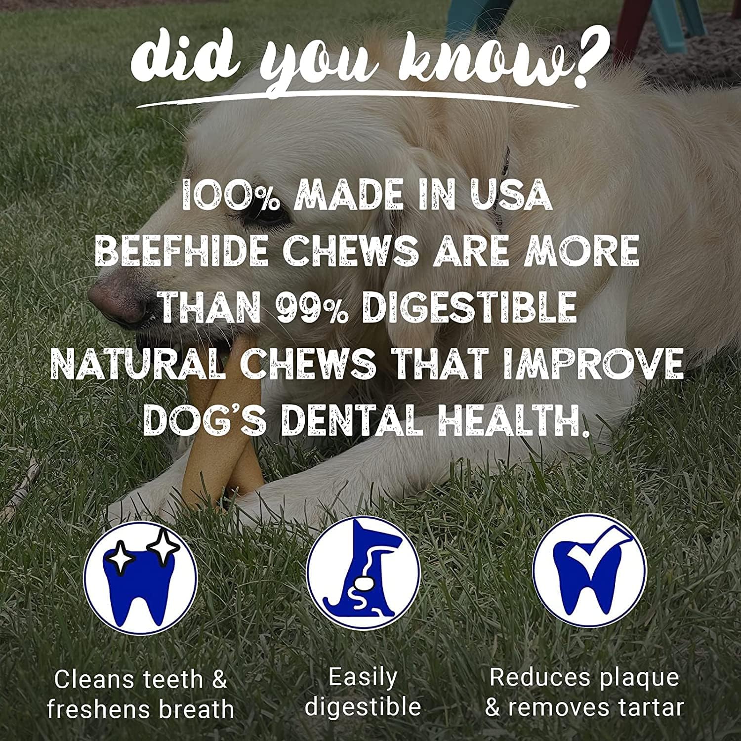 Pet Factory 100% Made in USA Beefhide 7" Braided Sticks Dog Chew Treats - Peanut Butter Flavor, 6 Count/1 Pack - Image 6