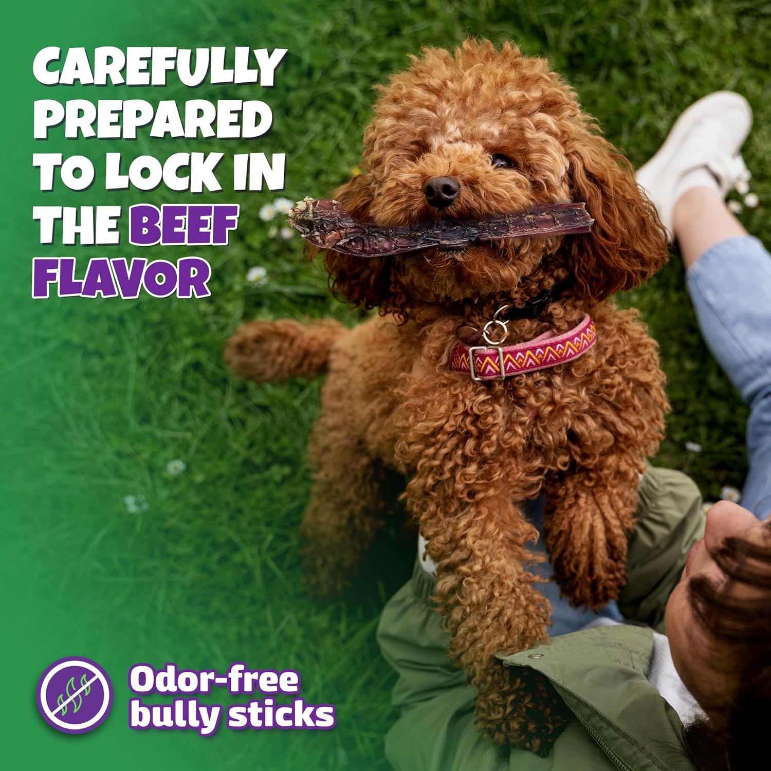 Bully Sticks for Dogs Sourced & Made in USA, All-Natural Taste, Shape, & Color, 6 inch Pizzle Sticks, Bully Bones for Small and Medium Dogs, Includes 12 to 14 Rawhide-Free Treats Per Bag, 8oz - Image 5