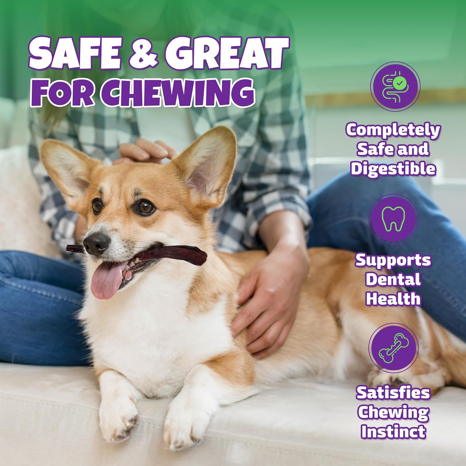 Bully Sticks for Dogs Sourced & Made in USA, All-Natural Taste, Shape, & Color, 6 inch Pizzle Sticks, Bully Bones for Small and Medium Dogs, Includes 12 to 14 Rawhide-Free Treats Per Bag, 8oz - Image 4