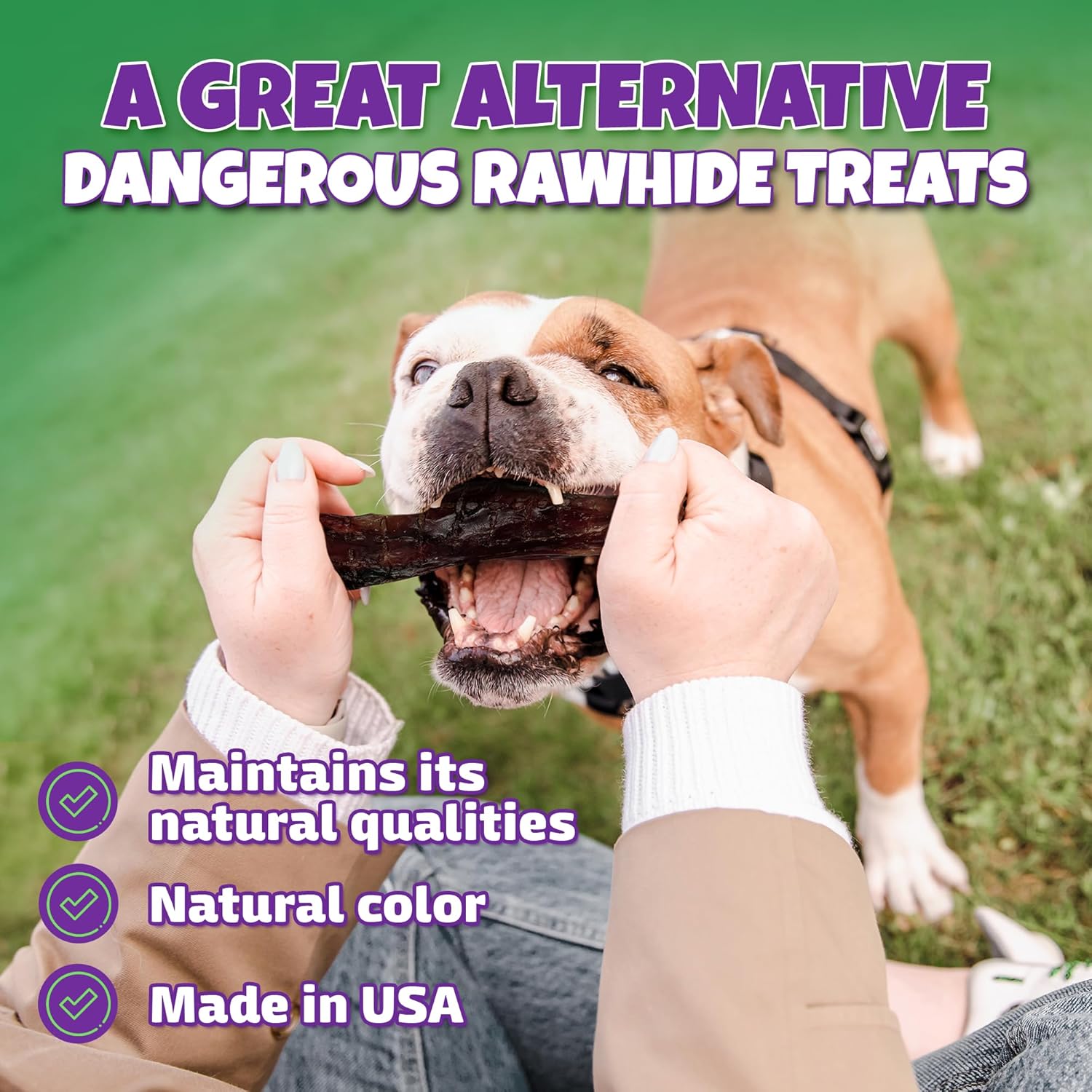 Bully Sticks for Dogs Sourced & Made in USA, All-Natural Taste, Shape, & Color, 6 inch Pizzle Sticks, Bully Bones for Small and Medium Dogs, Includes 12 to 14 Rawhide-Free Treats Per Bag, 8oz - Image 8