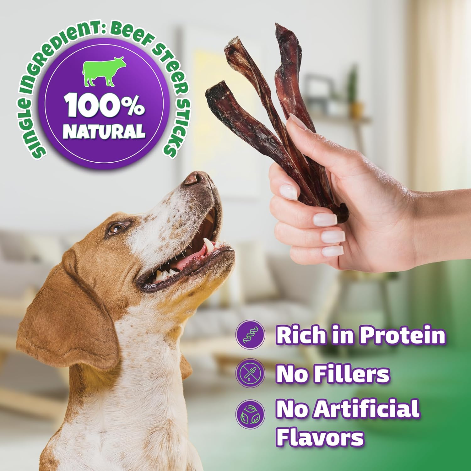Bully Sticks for Dogs Sourced & Made in USA, All-Natural Taste, Shape, & Color, 6 inch Pizzle Sticks, Bully Bones for Small and Medium Dogs, Includes 12 to 14 Rawhide-Free Treats Per Bag, 8oz - Image 3