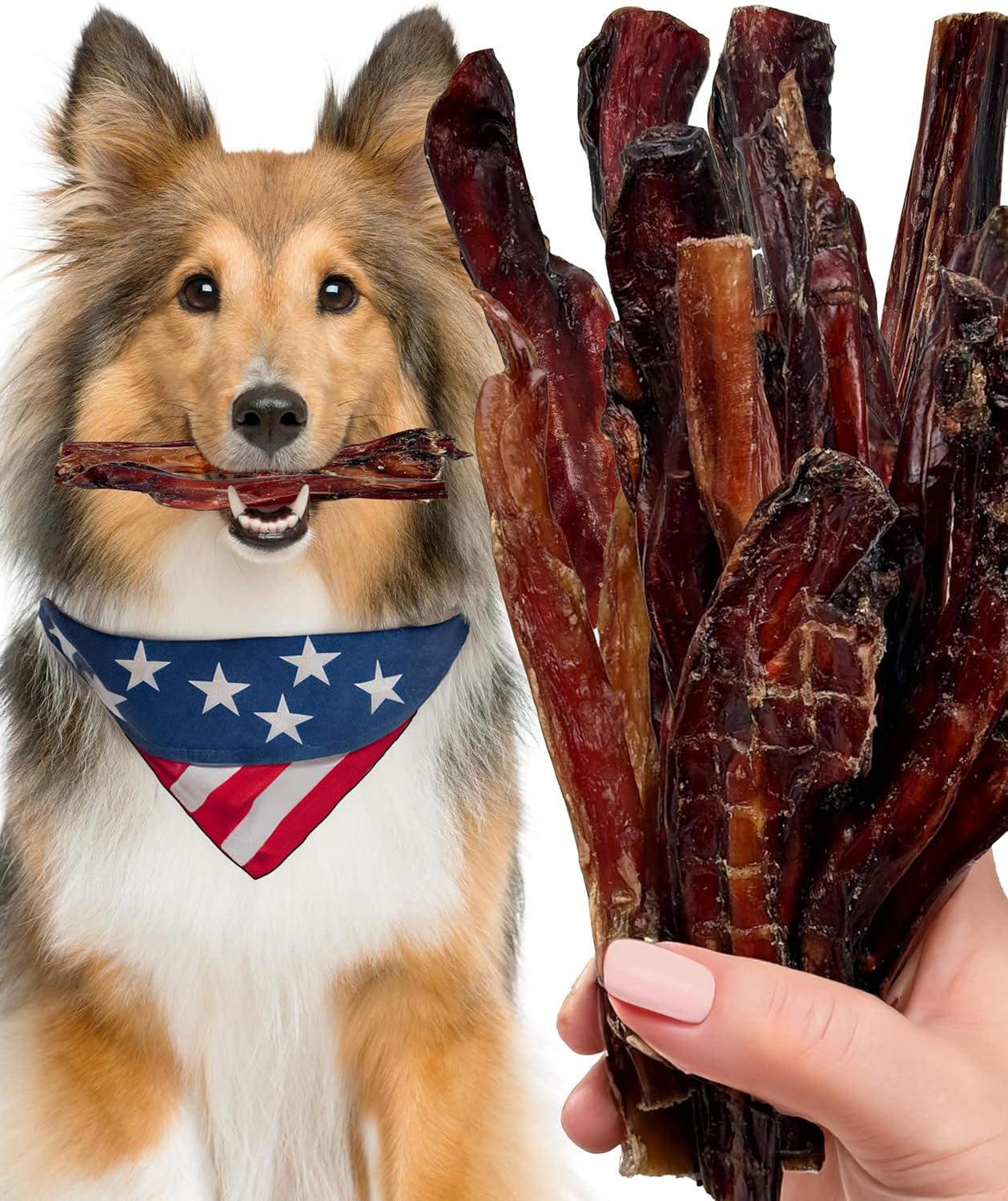 Bully Sticks for Dogs Sourced & Made in USA, All-Natural Taste, Shape, & Color, 6 inch Pizzle Sticks, Bully Bones for Small and Medium Dogs, Includes 12 to 14 Rawhide-Free Treats Per Bag, 8oz
