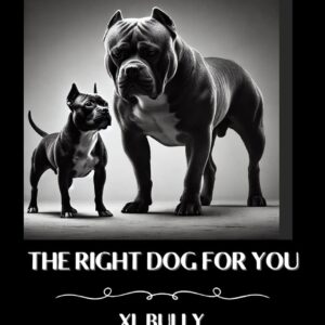 The right dog for you XL Bully vs Pocket Bully