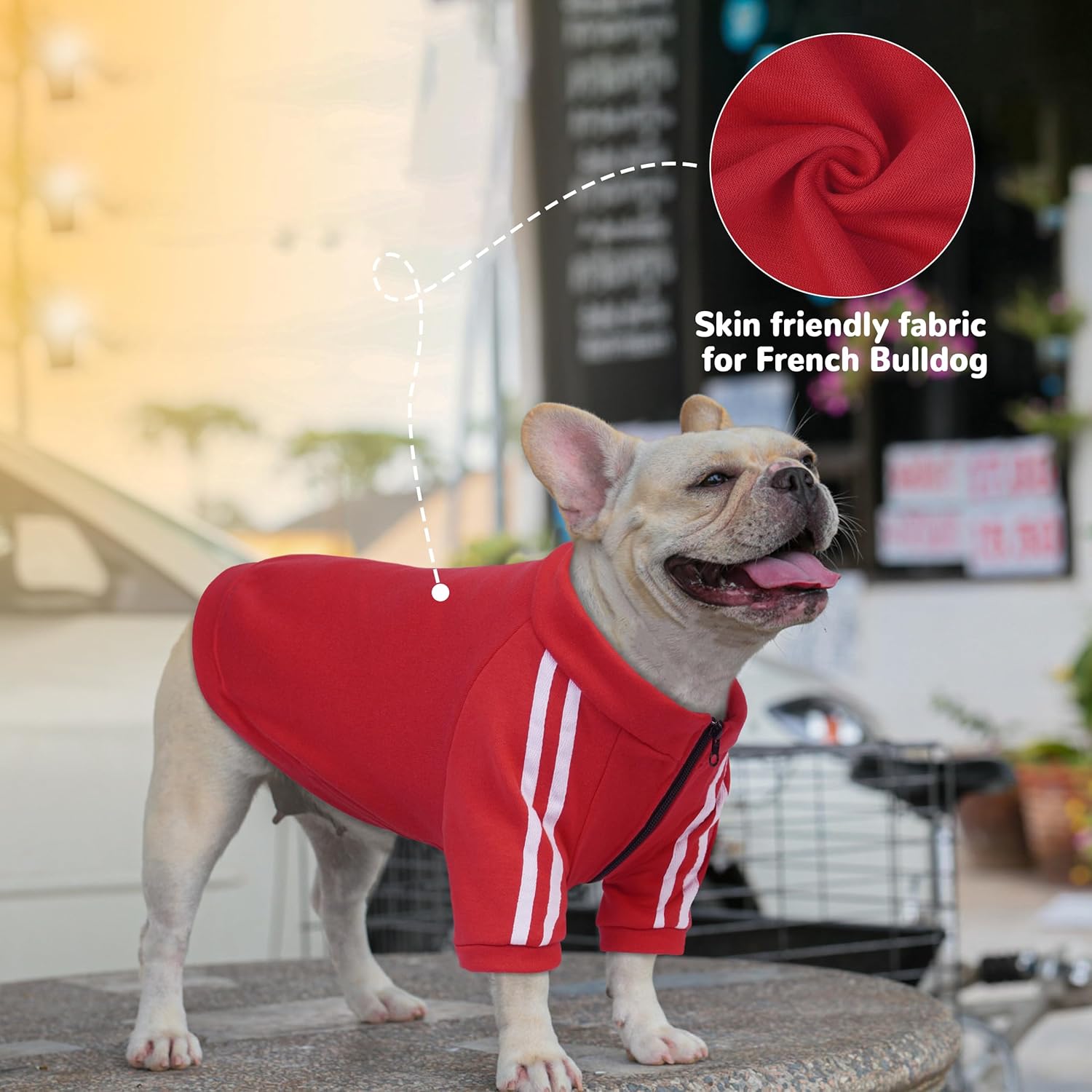 PUMYPOREITY Bulldog Apparel Perfect for French & English Bulldogs, Bully Breeds, Breathable Dog Hoodie with Striped Sleeves, Zipper Front for Easy Wear, Red, XL - Image 3
