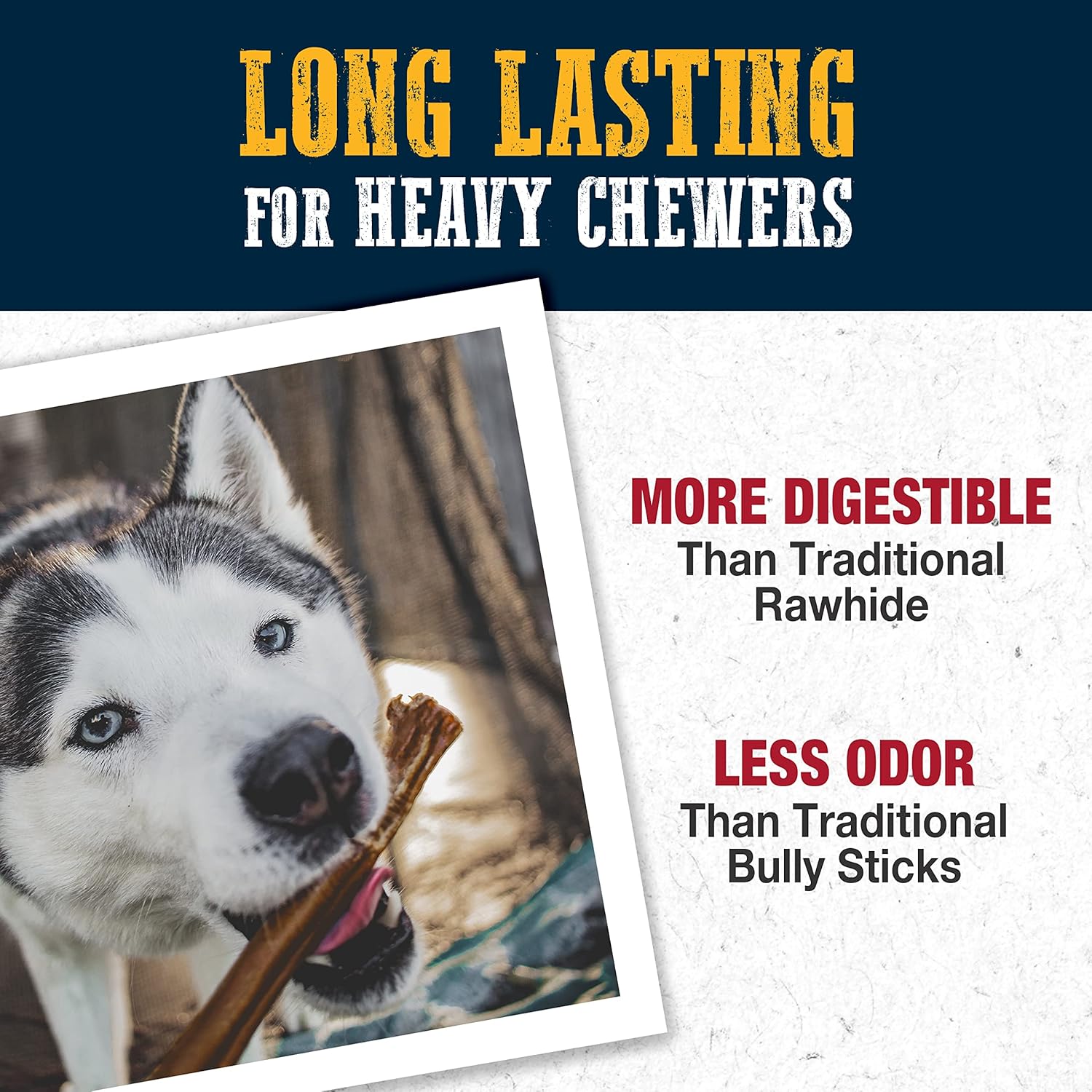 Cadet Bully Hide Sticks for Large Dogs, All-Natural Beef Pizzle, Limited-Ingredient Long-Lasting Dog Chews for Aggressive Chewers, 1 Count - Image 4