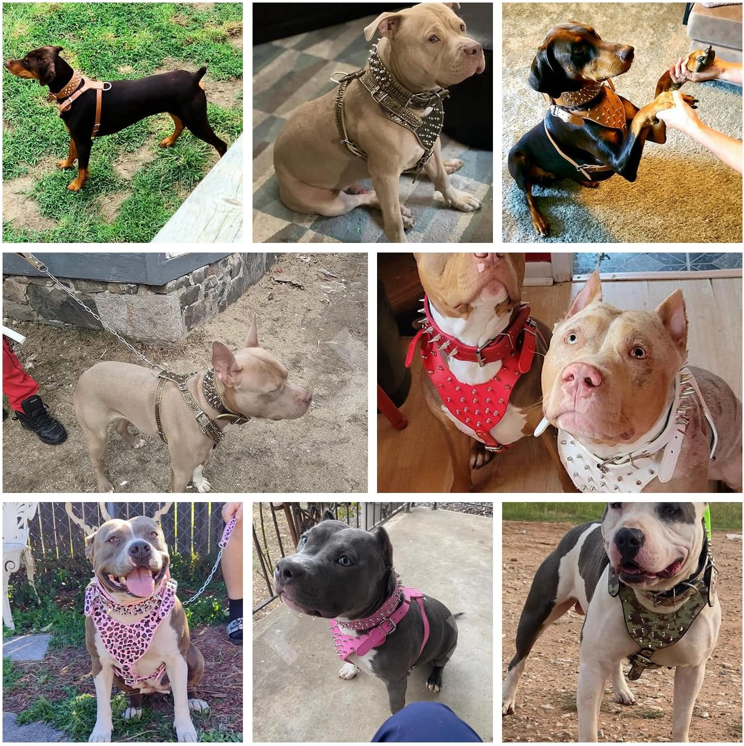 Serijoars Spiked Studded PU Leather Dog Harness Collar Set for Large Breed Pit Bull Bully Husky Terrier (Studs Leopard, L) - Image 5