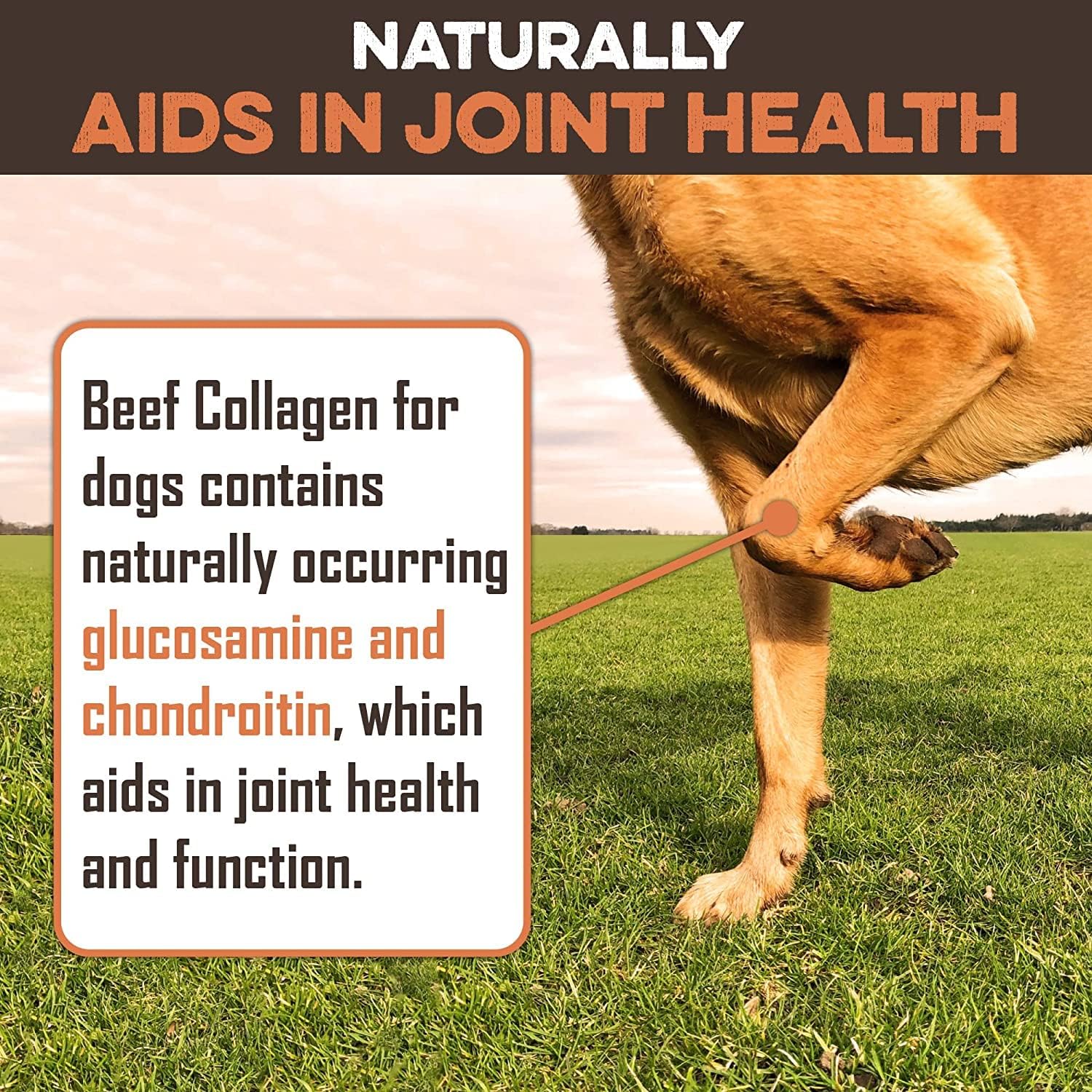 Beef Collagen Sticks For Dogs - Great Long Lasting Beef Collagen Dog Chews - Odor-Free, Natural Treat That Supports Joint Health With Natural Glucosamine & Chondroitin, For All Dog Breeds - Image 4