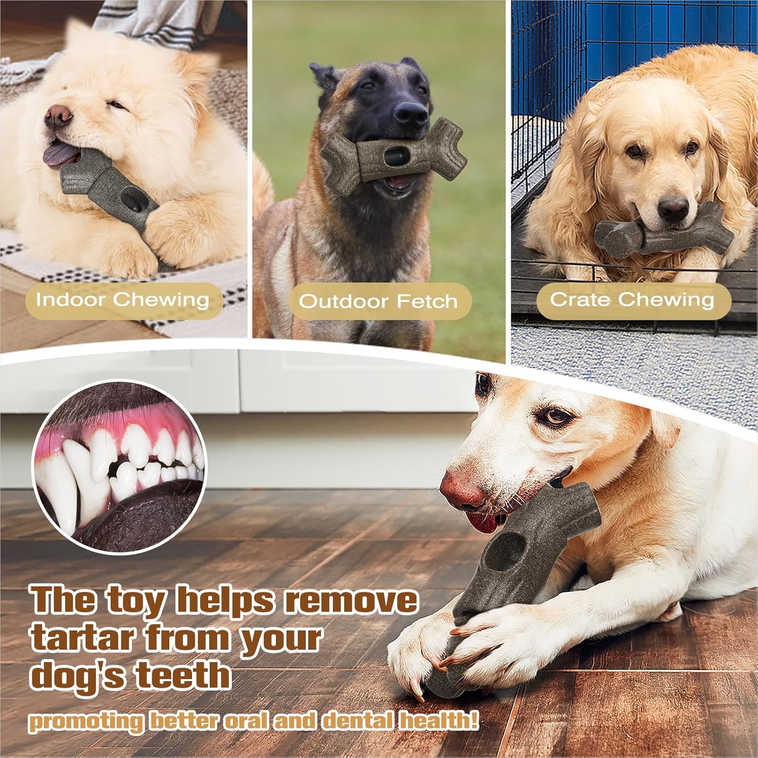 2 in 1 Dog Bully Stick Holder and Durable Indestructible Tough Chew Toy Halloween Toy Indoor & Outdoor - Image 6