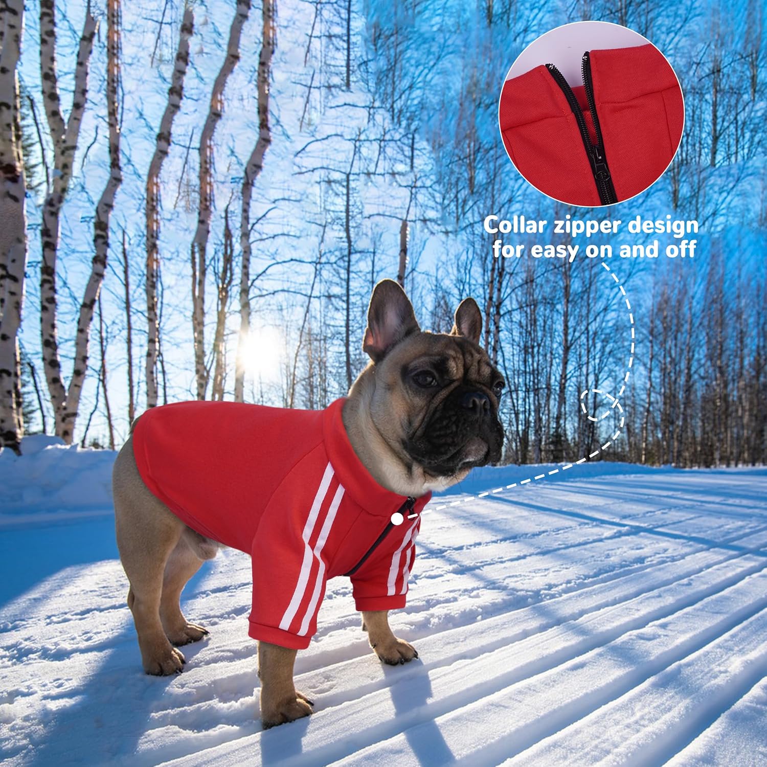 PUMYPOREITY Bulldog Apparel Perfect for French & English Bulldogs, Bully Breeds, Breathable Dog Hoodie with Striped Sleeves, Zipper Front for Easy Wear, Red, XL - Image 2