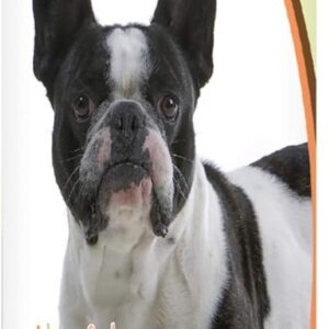 Healthy Breeds French Bulldog Hypo-Allergenic Shampoo 8 oz