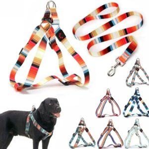 Dog Harness and Leash Set, Pretty Pattern No-Pull Pet Halter Puppy Vest Outdoor Easy Walk for Small Medium Large Breed Pug Bully Mastiff Dogs Female Male, Orange Small