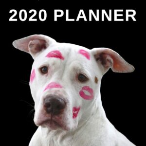 I Love Pitbulls: 2020 Planner For Pitbull Lovers