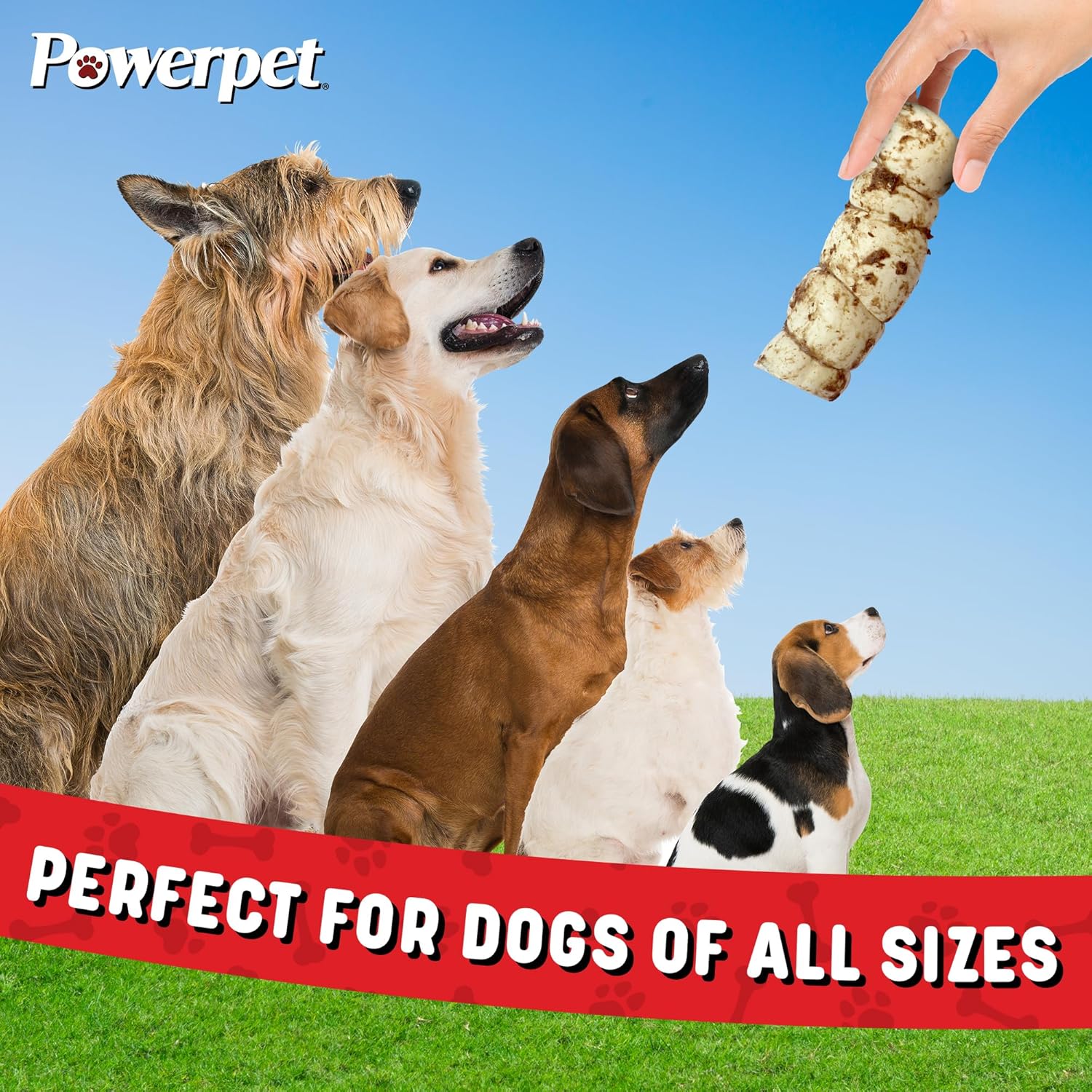Powerpet Treats Bully Beef Cheek Rolls for Dogs - 100% Natural & Highly Digestible - High Protein, Low Fat - No Rawhide - Soft & Thick Chew Treat - Good Dental Hygiene - Bully Sprinkled Flavor - 1pc - Image 5