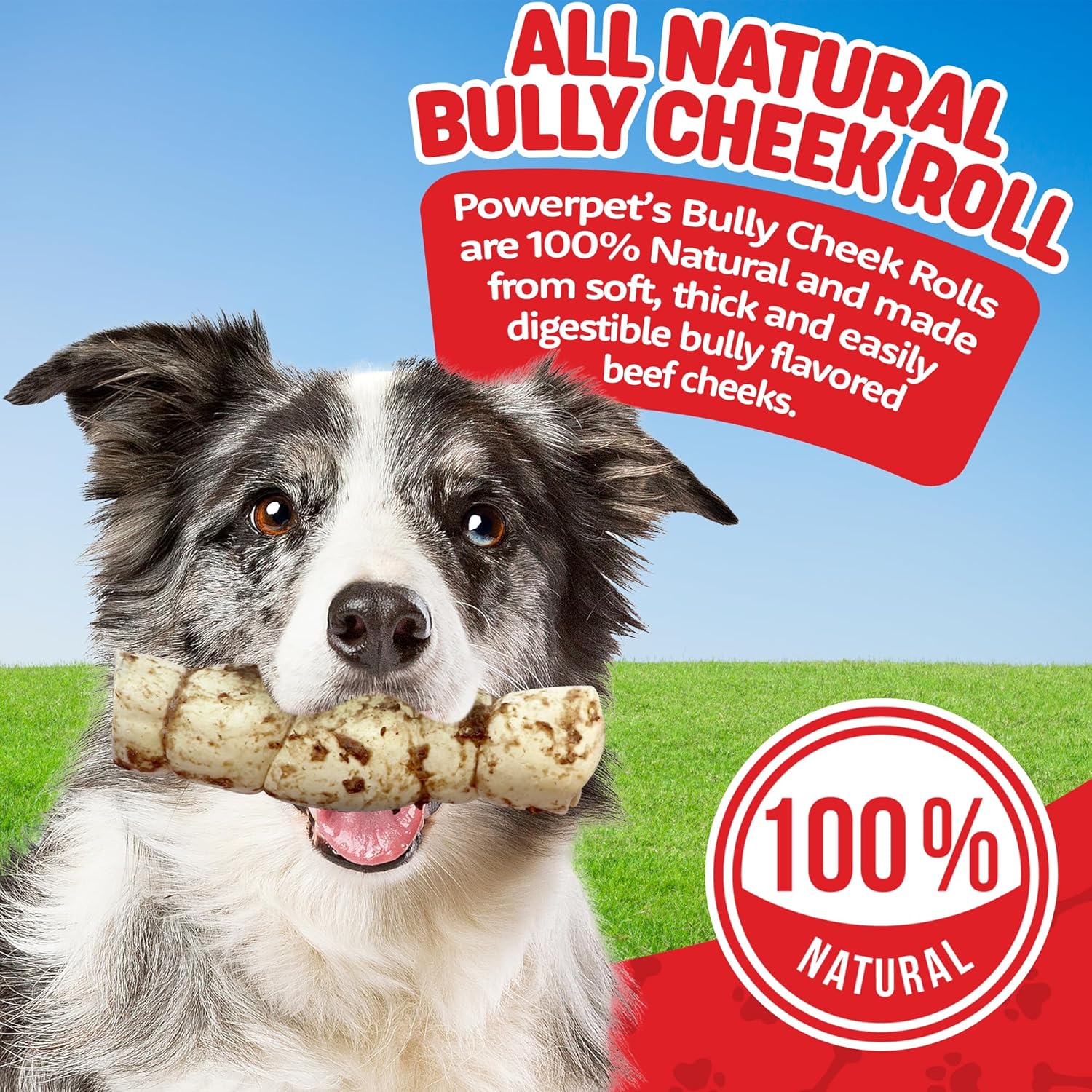Powerpet Treats Bully Beef Cheek Rolls for Dogs - 100% Natural & Highly Digestible - High Protein, Low Fat - No Rawhide - Soft & Thick Chew Treat - Good Dental Hygiene - Bully Sprinkled Flavor - 1pc - Image 8