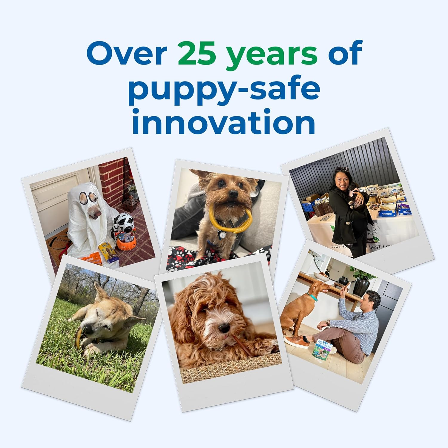 N-Bone Puppy Teething Sticks Pumpkin Flavor, 3.74-oz Bag - Image 8